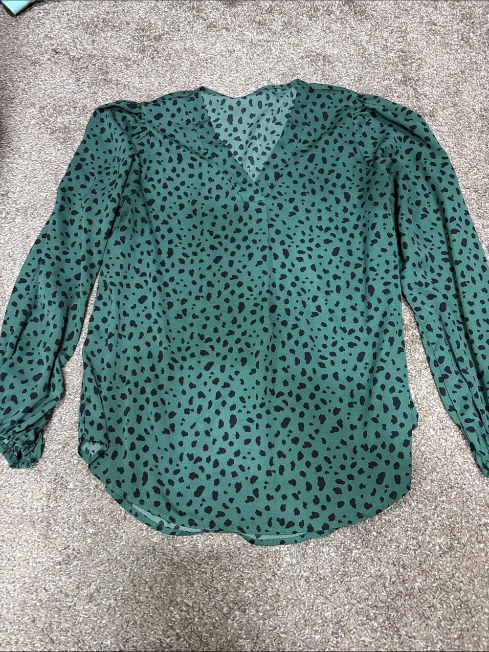 Amazon Green V-Neck Long Sleeve Dot-Print Blouse